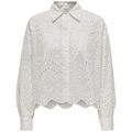 Chemises sur Grenoble : Chemise Only 162197VTPE26