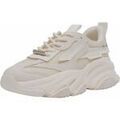 Baskets femme sur Grenoble : Baskets basses Steve Madden Sneaker