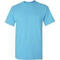 Tee-shirts sur Grenoble : T-shirt Gildan Heavy