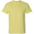 Tee-shirts sur Grenoble : T-shirt Gildan Ultra