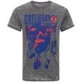 Tee-shirts sur Grenoble : T-shirt Green Day Revolution Radio