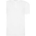 Tee-shirts sur Grenoble : T-shirt Awdis Just Polos