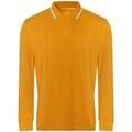 Polos sur Grenoble : Polo Awdis RW8838