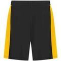Short Finden & Hales RW8788 Grenoble