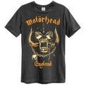 T-shirt Amplified Clothing Bronze England Grenoble