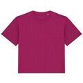 T-shirt Native Spirit NS313 Grenoble