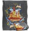 Linge de maison sur Grenoble : Couvertures Harry Potter TV18559