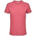 Tee-shirts sur Grenoble : T-shirt Sols Regent