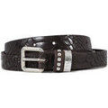 Ceintures sur Grenoble : Ceinture Portman porabsinthe