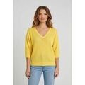 Pull sur Grenoble : Pull Freeman T.Porter 2512780a