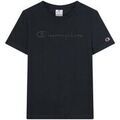 Tee-shirts sur Grenoble : T-shirt Champion 118382