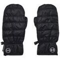Gants sur Grenoble : Gants Under Armour Storm
