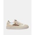 Baskets femme sur Grenoble : Baskets basses Morrison CABANA