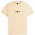 T-shirt Tommy Hilfiger DM0DM22532-AB9 Grenoble