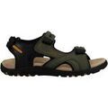 Sandales / Nu-pieds homme sur Grenoble : Sandales Geox Chaussures de randonn&eacute;es Vert