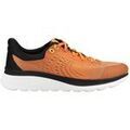 Baskets homme sur Grenoble : Baskets basses Geox Sneaker
