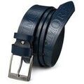 Ceintures sur Grenoble : Ceinture Beltimore 527