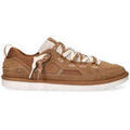 Baskets basses UGG -