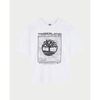 T-shirt enfant Timberland T-shirt col rond gar&ccedil;on Blanc