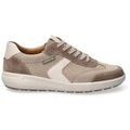 Baskets homme sur Grenoble : Baskets basses Mephisto jenaro