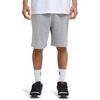 Short DC Shoes Vantura