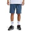 Short DC Shoes Vantura