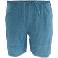 Shorts/Bermuda sur Grenoble : Short Sundek -