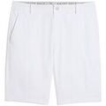 Short Puma Dealer Grenoble