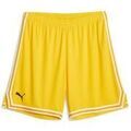 Short Puma Hoops Team Game Short Grenoble