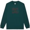 T-shirt DC Shoes DC Star Hls
