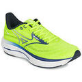 Running sur Grenoble : Chaussures Mizuno WAVE RIDER 29