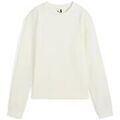 Pull Puma Boulder