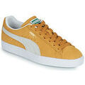 Baskets homme sur Grenoble : Baskets basses Puma SUEDE