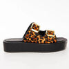 Mules Guess tiger