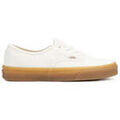 Chaussures Vans Eco Theory Authentic
