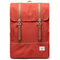 Sac a dos Herschel Survey Grenoble