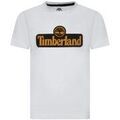 Tee-shirts enfants sur Grenoble : T-shirt enfant Timberland 185878VTAH25