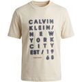 T-shirt Calvin Klein Jeans LV04RF814G Grenoble