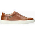 Baskets homme sur Grenoble : Baskets basses Mephisto Baskets en cuir CRISTIANO.P5133949
