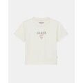 Tee-shirts sur Grenoble : T-shirt Guess W6RI15 J1314