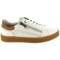 Baskets homme sur Grenoble : Baskets basses Pikolinos 6422C1 XATIVA