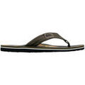 Tongs Quiksilver MOLOKAI LAYBACK Grenoble