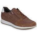 Baskets basses Geox U AVERY