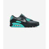 Baskets basses Nike Air Max 90 Cool Grey Dusty Cactus Black Wolf Grey
