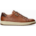 Baskets homme sur Grenoble : Baskets basses Mephisto Baskets en cuir HASKO.P5145951