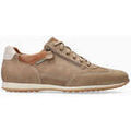 Baskets homme sur Grenoble : Baskets basses Mephisto Baskets en cuir LEON.P5136959