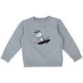 Pulls/Sweat sur Grenoble : Pull enfant Cyrillus Pull - Gris - 6 ans - Tr&egrave;s bon &eacute;tat Gris
