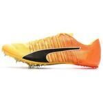 Chaussures Puma Evospeed Future 6
