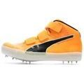 Running sur Grenoble : Chaussures Puma Evospeed Javelin