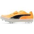Chaussures Puma Evospeeds